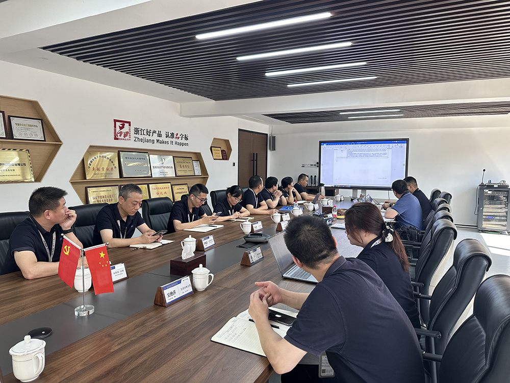 公司开展2024年度IATF16949质量管理体系监督审核(图3)