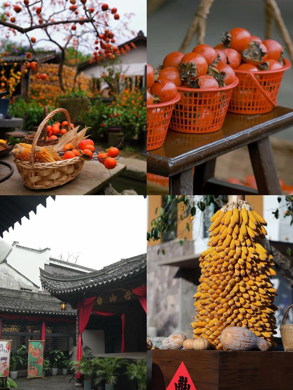 踏秋四明山,聚力向未来 | 我们的四明山柿林村徒步之旅(图3) 踏秋四明山,聚力向未来 | 我们的四明山柿林村徒步之旅(图3)